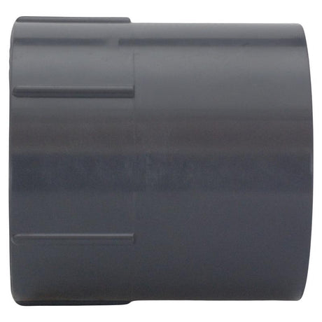 Charlotte Pipe Schedule 80 1-1/4 in. Slip X 1-1/4 in. D FPT PVC Pipe Adapter 1 pk