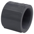Charlotte Pipe Schedule 80 2 in. FPT X 2 in. D FPT PVC Coupling 1 pk