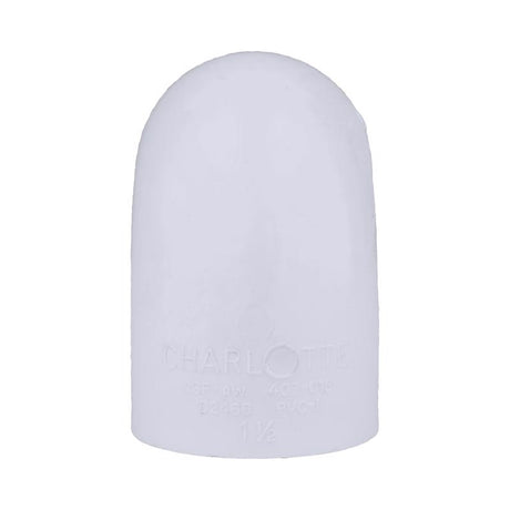 Charlotte Pipe Schedule 40 1-1/2 in. Slip X 1-1/2 in. D FPT PVC Elbow 1 pk