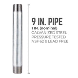 STZ Industries 1 in. MIP each X 1 in. D MIP Galvanized Steel 9 in. L Nipple