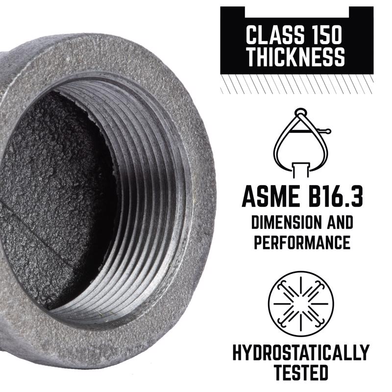 STZ Industries 1/4 in. FIP each Black Malleable Iron Cap
