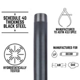 STZ Industries 1-1/4 in. MIP each X 1-1/4 in. D MIP Black Steel 8 in. L Nipple