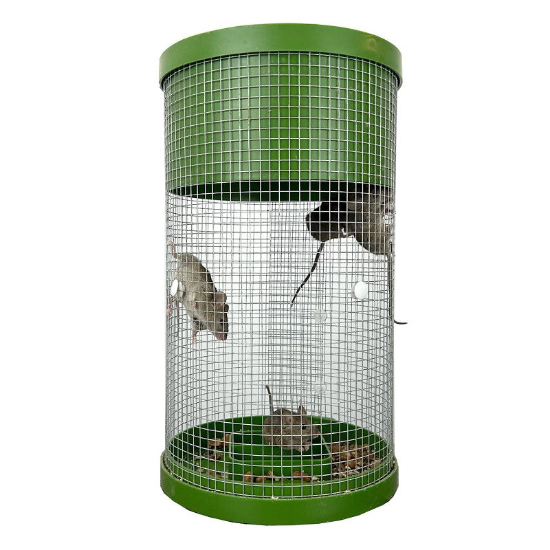 Billy Bob Products 41100 Multi-Catch Mouse Trap