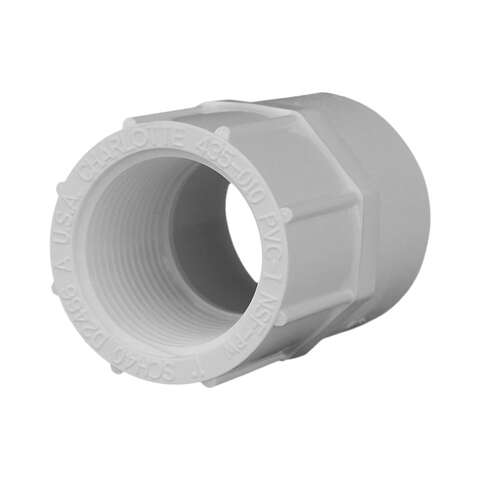 Charlotte Pipe Schedule 40 1 in. Slip X 1 in. D FPT PVC Pipe Adapter 1 pk, Pack of 25