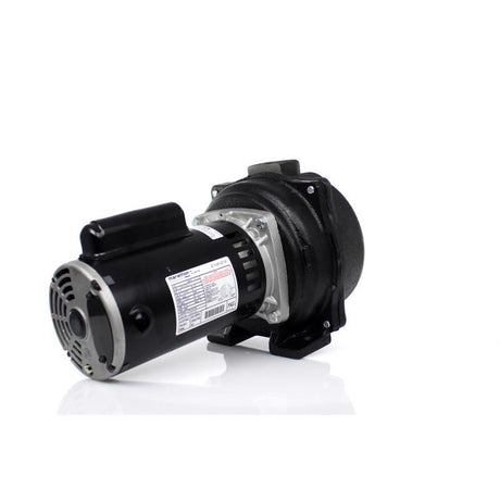 Wayne 2 HP 4200 gph Cast Iron Sprinkler Pump