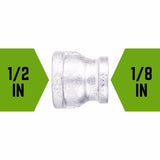 STZ Industries 1/2 in. FIP each X 1/8 in. D FIP Galvanized Malleable Iron Reducing Coupling