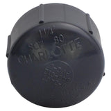 Charlotte Pipe Schedule 80 3/4 in. MPT X 3/4 in. D FPT PVC Threaded Cap 1 pk