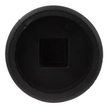 Charlotte Pipe 2-1/2 in. MPT X 2-1/2 in. D MPT ABS Plug