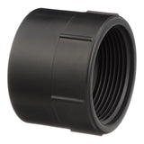 Charlotte Pipe 1-1/2 in. Hub X 1-1/2 in. D FPT ABS Adapter