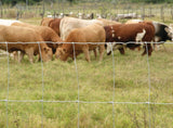Rangemaster 6654 Series Field Fence, 6 in, 32 in H, 330 ft L, 12 ga ga, Steel, Galvanized