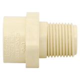 Charlotte Pipe FlowGuard 3/4 in. Hub X 1/2 in. D MPT CPVC Reducing Adapter