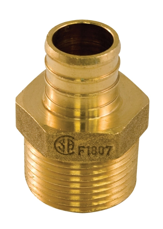 aqua-dynamic 9781-034 Pipe Adapter, 1/2 x 3/4 in, PEX x Male, PEX-B, Brass