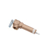 Reliance 3/4 in. MNPT Brass Relief Valve 1 pc