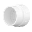 Charlotte Pipe Schedule 40 3 in. Spigot X 3 in. D FPT PVC Cleanout Adapter 1 pk
