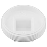 Charlotte Pipe Schedule 40 3 in. MPT PVC Clean-Out Plug 1 pk