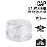 STZ Industries 3 in. FIP each Galvanized Malleable Iron Cap