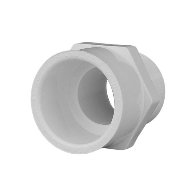 Charlotte Pipe Schedule 40 3/4 in. Slip X 3/4 in. D MPT PVC Pipe Adapter 1 pk, Pack of 25