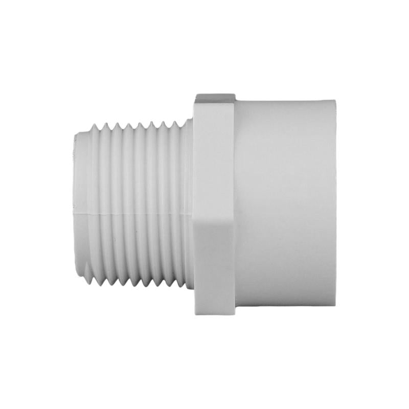 Charlotte Pipe Schedule 40 3/4 in. Slip X 3/4 in. D MPT PVC Pipe Adapter 1 pk, Pack of 25