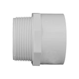 Charlotte Pipe Schedule 40 2 in. Slip X 2 in. D MPT PVC Pipe Adapter 1 pk