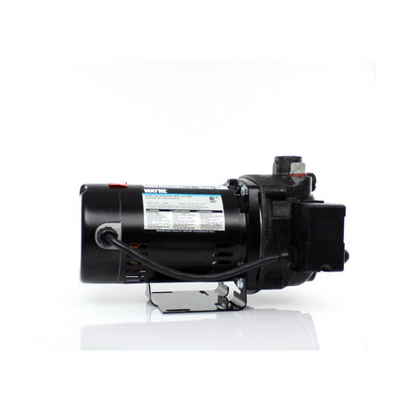 Wayne 1/2 HP 900 gph Cast Iron Convertible Jet Well Pump