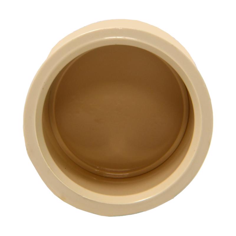 Charlotte Pipe FlowGuard 3/4 in. Slip CPVC Drain Cap 10 pk