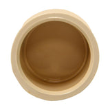 Charlotte Pipe FlowGuard 3/4 in. Slip CPVC Drain Cap 10 pk