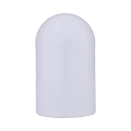 Charlotte Pipe Schedule 40 1 in. Slip X 1 in. D FPT PVC 90 Degree Elbow 1 pk