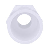 Charlotte Pipe Schedule 40 3/4 in. MPT X 1 in. D Slip PVC Pipe Adapter 1 pk, Pack of 25