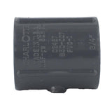 Charlotte Pipe Schedule 80 3/4 in. FPT X 3/4 in. D FPT PVC Coupling 1 pk