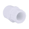 Charlotte Pipe Schedule 40 3/4 in. Slip X 1/2 in. D FPT PVC Pipe Adapter 1 pk, Pack of 25
