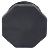 Charlotte Pipe Schedule 80 1 in. MPT X 1 in. D MPT PVC Threaded Plug 1 pk