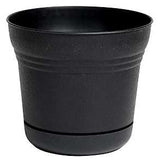Bloem SPO500 Planter, 4-1/2 in H, 5 in W, 5 in D, Classic Textured Design, Plastic, Black, Matte, Pack of 12