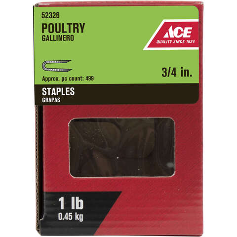 Ace .25 in. W X 3/4 in. L Galvanized Steel Poultry Staples 1 lb