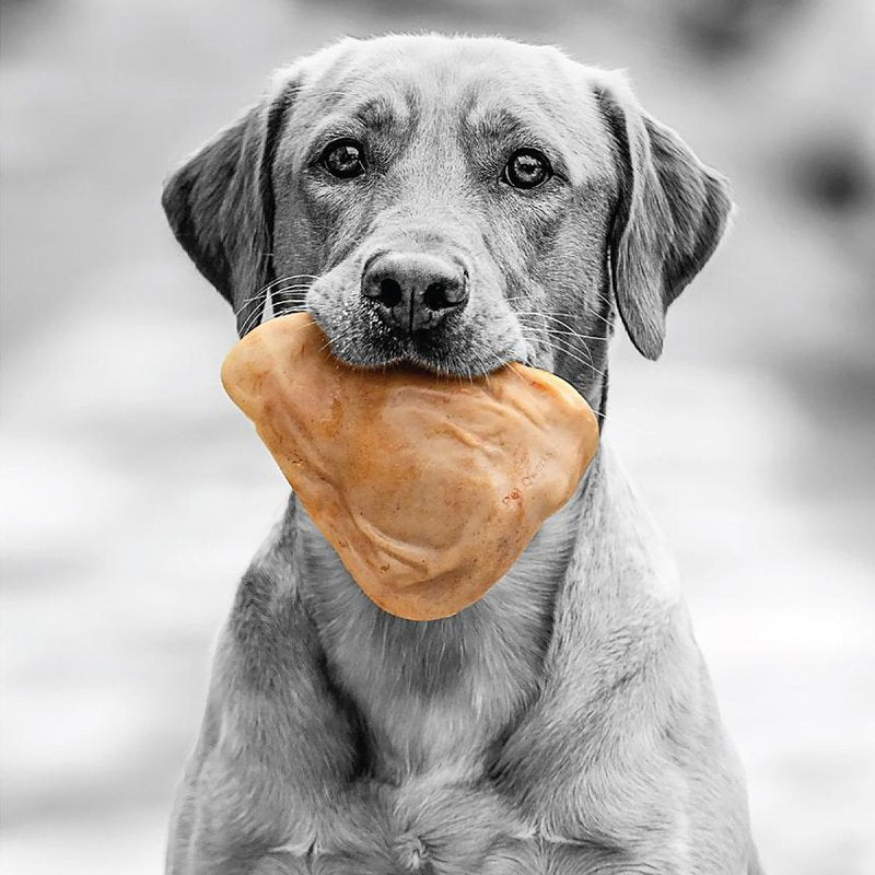 Petmate BarkBone 36069 Dog Toy, M, Bacon, Chew, Natural Instincts Pig Ear, Nylon