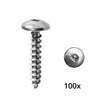 Multinautic 15031 Screw, #10 x 1 in, Stainless Steel