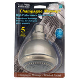 Whedon Champagne Massage Brushed Nickel Plastic 5 settings Showerhead 2-1/2 gpm