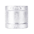 STZ Industries 3/8 in. FIP each X 3/8 in. D FIP Galvanized Malleable Iron Coupling, Pack of 5