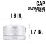 STZ Industries 1 in. FIP each Galvanized Malleable Iron Cap, Pack of 5