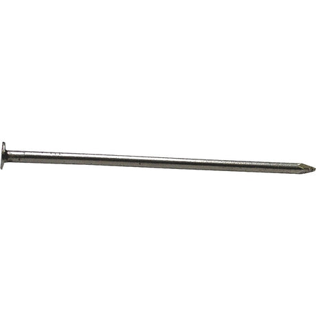 ProFIT 0053179 Common Nail, 10D, 3 in L, Steel, Brite, Flat Head, Round, Smooth Shank, 25 lb