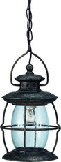 Boston Harbor BRT-CDC1701 Outdoor Pendant Lantern, 120 V, 60 W, Steel Fixture, Misty Pewter Fixture