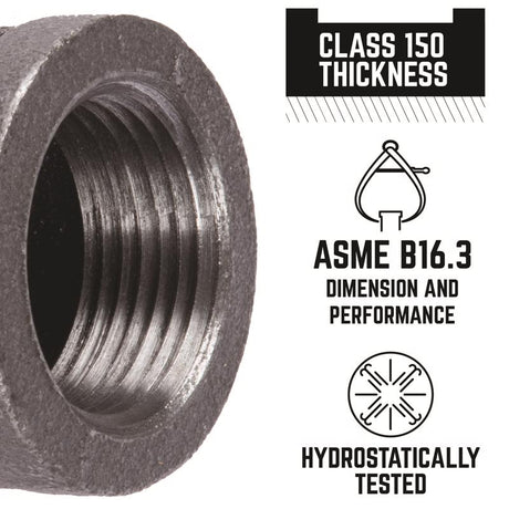 STZ Industries 3/4 in. FIP each X 3/4 in. D FIP Black Malleable Iron Coupling, Pack of 5