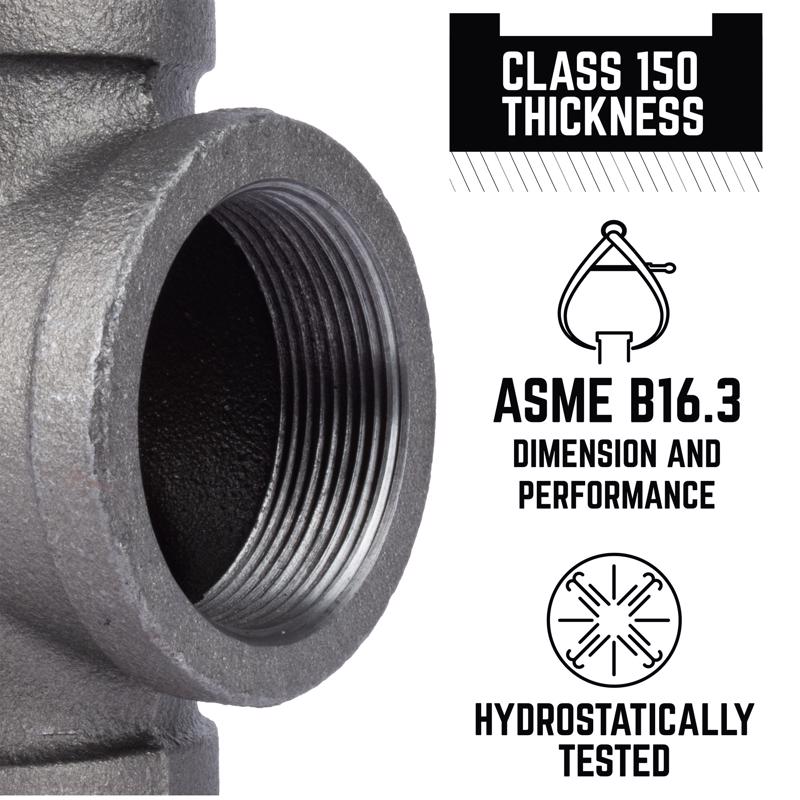 STZ Industries 2-1/2 in. FIP each Black Malleable Iron Cap