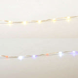 Living Accents LED Big Seed Color Changing Light Set Multicolored 33 ft. 200 lights