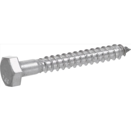 HILLMAN 5/16 in. X 2-1/2 in. L Hex Stainless Steel Lag Screw 25 pk