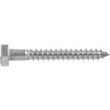 HILLMAN 1/2 in. X 3 in. L Hex Stainless Steel Lag Screw 25 pk