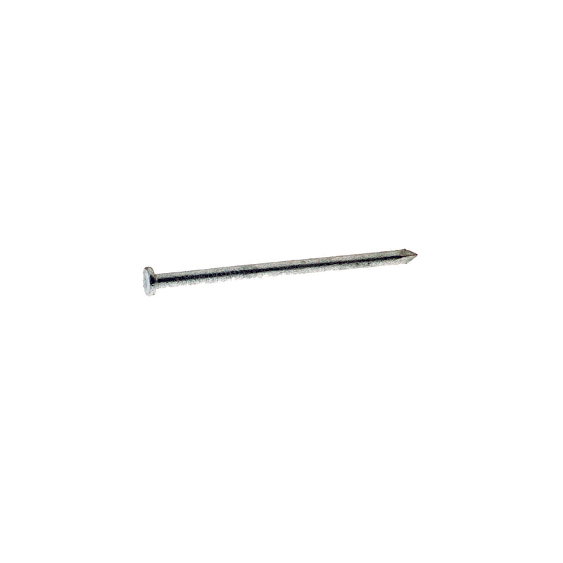 Grip-Rite 8D 2-1/2 in. Common Hot-Dipped Galvanized Steel Nail Flat Head 5 lb, Pack of 6