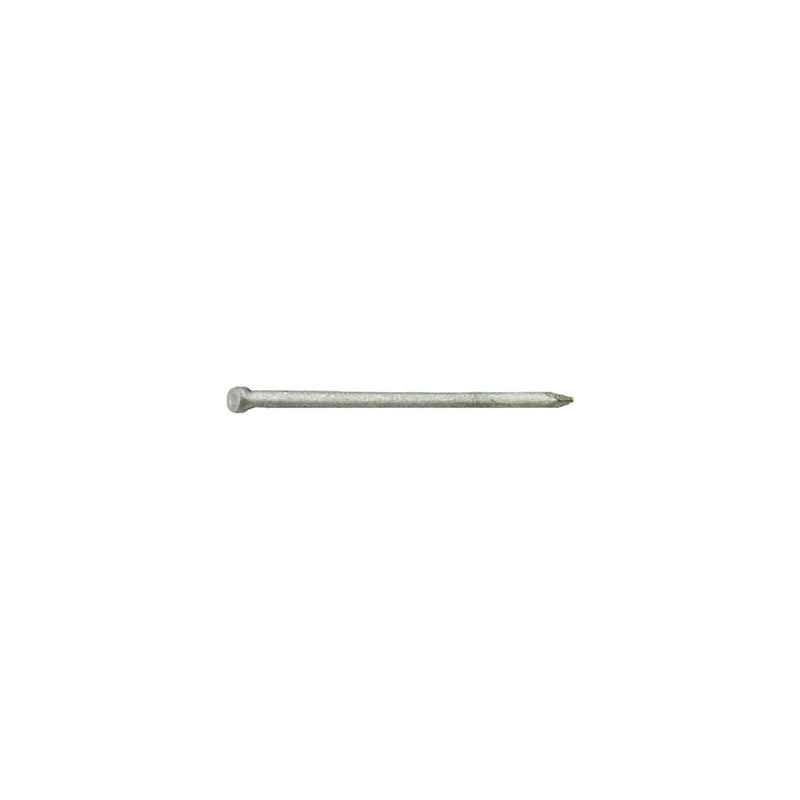 Grip-Rite 12D 3-1/4 in. Finishing Hot-Dipped Galvanized Steel Nail Brad Head 1 lb, Pack of 12