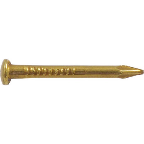 HILLMAN 16 Ga. X 5/8 in. L Brass Escutcheon Pins 1 pk 2 oz, Pack of 6