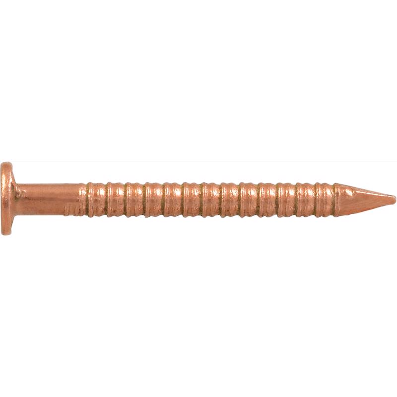 HILLMAN 1 in. Boat Bronze Steel Nail Flat Head 2 oz, Pack of 6