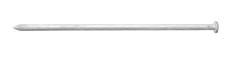 Ace 10 in. Spike Hot-Dipped Galvanized Steel Nail Diamond Head 5 lb